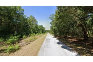 00 STARLING DRIVE, DUNNELLON, FL 34431 - MLS#MFRO6341881
