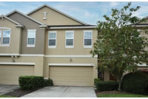 1387 GLENLEIGH DRIVE, OCOEE, FL 34761 - MLS#MFRO6341940