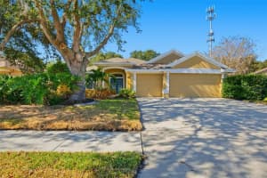 342 MANE COURT, TARPON SPRINGS, FL 34688 - MLS#MFRO6342031