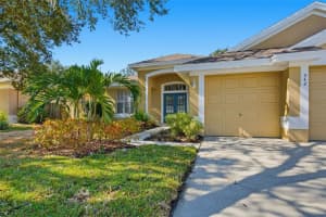 342 MANE COURT, TARPON SPRINGS, FL 34688 - MLS#MFRO6342031