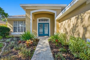 342 MANE COURT, TARPON SPRINGS, FL 34688 - MLS#MFRO6342031
