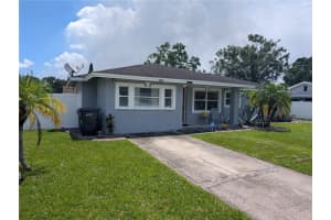1002 KIRKLAND DRIVE, TAMPA, FL 33619 - MLS#MFRO6342083