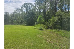 MLS# MFRO6342158, Kissimmee, Florida 34758