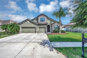6722 Wild Elm Ct, WESLEY CHAPEL
