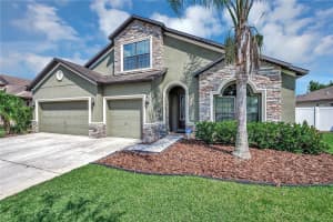 6722 WILD ELM COURT, WESLEY CHAPEL, FL 33545 - MLS#MFRO6342311