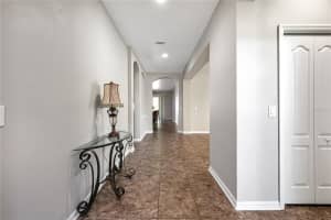 6722 WILD ELM COURT, WESLEY CHAPEL, FL 33545 - MLS#MFRO6342311