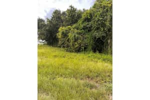 112 HAPPINESS AVENUE, LAKE PLACID, FL 33852 - MLS#MFRO6342363