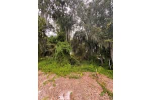 112 HAPPINESS AVENUE, LAKE PLACID, FL 33852 - MLS#MFRO6342363