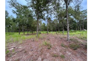 16051 44 STREET, OCALA, FL 34481 - MLS#MFRO6342560