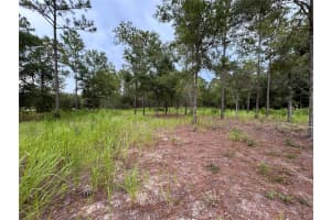 16051 44 STREET, OCALA, FL 34481 - MLS#MFRO6342560
