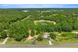 15901 SE 113 ST RD, OCKLAWAHA, FL 32179 - MLS#MFRO6342571