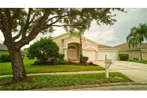 5316 STRIKE THE GOLD LANE, WESLEY CHAPEL, FL 33544 - MLS#MFRO6342583