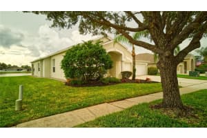 5316 STRIKE THE GOLD LANE, WESLEY CHAPEL, FL 33544 - MLS#MFRO6342583