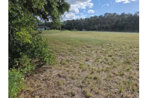 470 BARRIE ROAD, AVON PARK, FL 33825 - MLS#MFRO6342607