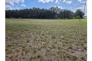 470 BARRIE ROAD, AVON PARK, FL 33825 - MLS#MFRO6342607