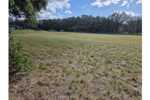 500 BARRIE ROAD, AVON PARK, FL 33825 - MLS#MFRO6342608