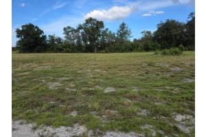 500 BARRIE ROAD, AVON PARK, FL 33825 - MLS#MFRO6342608