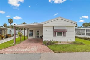 47 COCOS PLUMOSA DRIVE, EUSTIS, FL 32726 - MLS#MFRO6342634