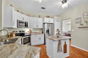 32543 SCENIC HILLS DRIVE, MOUNT DORA, FL 32757 - MLS#MFRO6342768