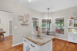 32543 SCENIC HILLS DRIVE, MOUNT DORA, FL 32757 - MLS#MFRO6342768