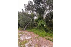 324 CINEMA DRIVE, LAKE PLACID, FL 33852 - MLS#MFRO6342799