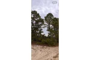 324 CINEMA DRIVE, LAKE PLACID, FL 33852 - MLS#MFRO6342799