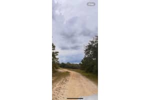 324 CINEMA DRIVE, LAKE PLACID, FL 33852 - MLS#MFRO6342799