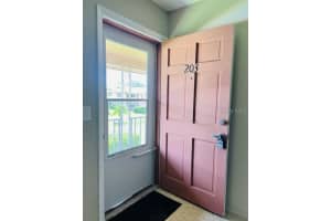 1100 CAROLINE STREET, TAVARES, FL 32778 - MLS#MFRO6342851
