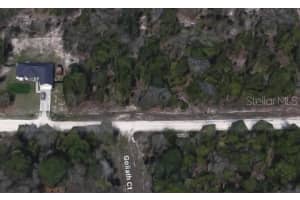 15175 SNOWY OWL AVENUE, WEEKI WACHEE, FL 34614 - MLS#MFRO6342889