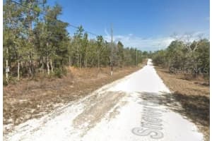 15175 SNOWY OWL AVENUE, WEEKI WACHEE, FL 34614 - MLS#MFRO6342889