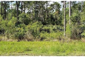 13475 SHEPPARD AVENUE, PORT CHARLOTTE, FL 33953 - MLS#MFRO6343038