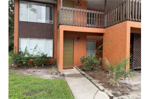 1230 SAGO PALM BOULEVARD, KISSIMMEE, FL 34741 - MLS#MFRO6343109