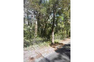 5230 BRAHORN ROAD, APOPKA, FL 32712 - MLS#MFRO6343175