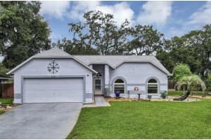 2415 DRESDEN TRAIL, APOPKA, FL 32712 - MLS#MFRO6343184