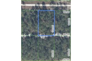 629 PARAKEET AVENUE, SEBRING, FL 33872 - MLS#MFRO6343271