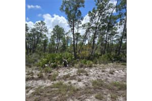 629 PARAKEET AVENUE, SEBRING, FL 33872 - MLS#MFRO6343271