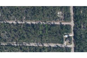 3334 BARN SWALLOW AVENUE, LAKE PLACID, FL 33852 - MLS#MFRO6343282