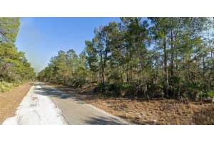 3248 GLEN SPRINGS AVENUE, LAKE PLACID, FL 33852 - MLS#MFRO6343285