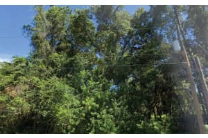 TRENTWOOD LN, NORTH PORT, FL 34286 - MLS#MFRO6343293