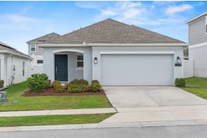 6816 Perch Hammock Loop, GROVELAND