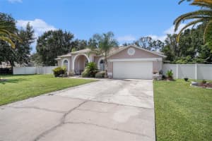 3817 REDWOOD DRIVE, LAND O LAKES, FL 34639 - MLS#MFRO6343315