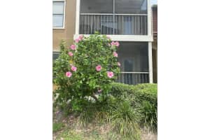 11901 4TH STREET, ST PETERSBURG, FL 33716 - MLS#MFRO6343383