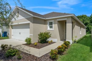 1295 BERRY LANE, DAVENPORT, FL 33837 - MLS#MFRO6343512