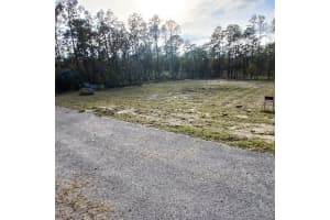 NARCISSUS, DUNNELLON, FL 34431 - MLS#MFRO6343589