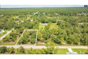 1420 CLAYTON AVENUE, LEHIGH ACRES, FL 33972 - MLS#MFRO6343656