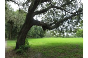 36426 TANNER LANE, EUSTIS, FL 32736 - MLS#MFRO6343673