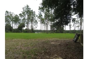 36426 TANNER LANE, EUSTIS, FL 32736 - MLS#MFRO6343673