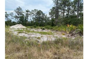 6591 DELAND AVENUE, INDIAN LAKE ESTATES, FL 33855 - MLS#MFRO6343682