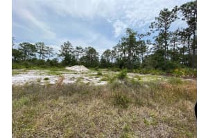6591 DELAND AVENUE, INDIAN LAKE ESTATES, FL 33855 - MLS#MFRO6343682