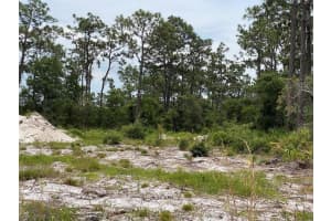 6591 DELAND AVENUE, INDIAN LAKE ESTATES, FL 33855 - MLS#MFRO6343682